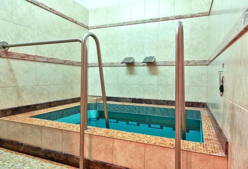 ホテル Top  Agricola