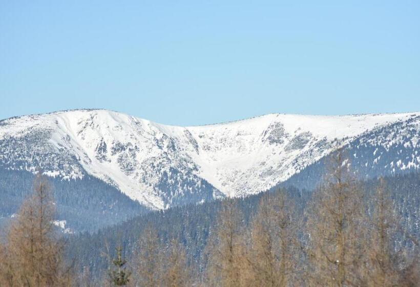 호텔 žalý Apartmány