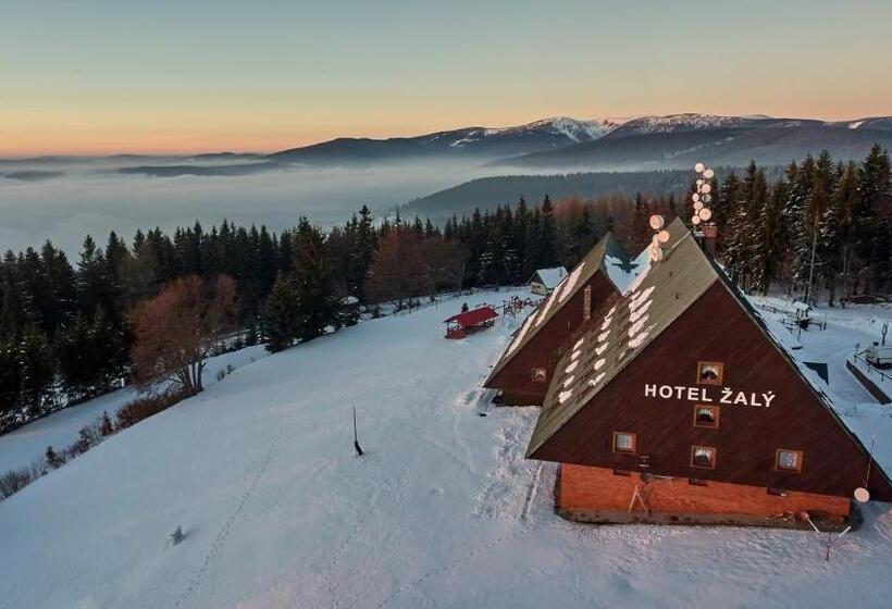 호텔 žalý Apartmány