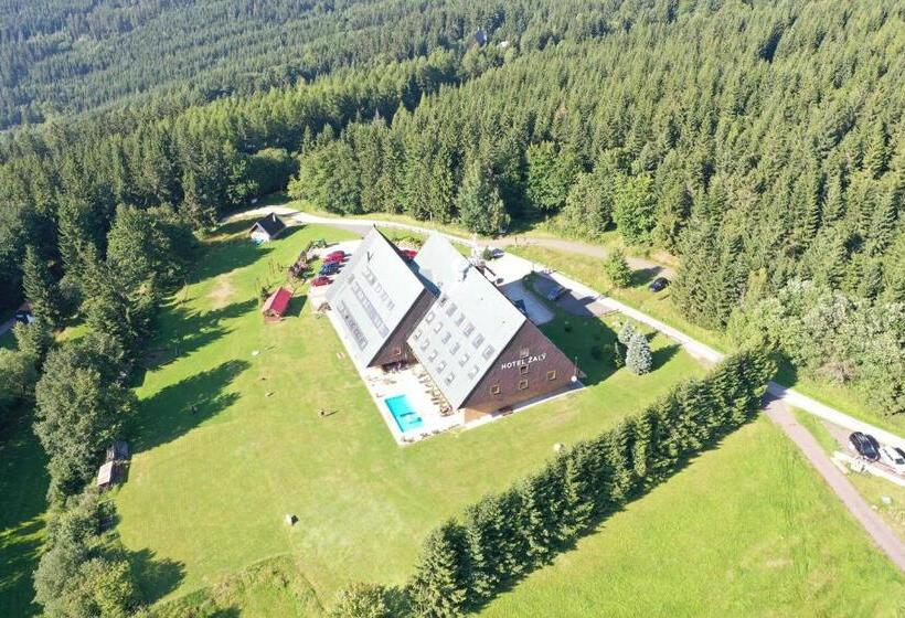 호텔 žalý Apartmány