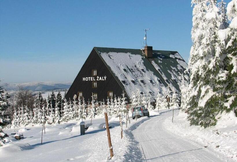 호텔 žalý Apartmány
