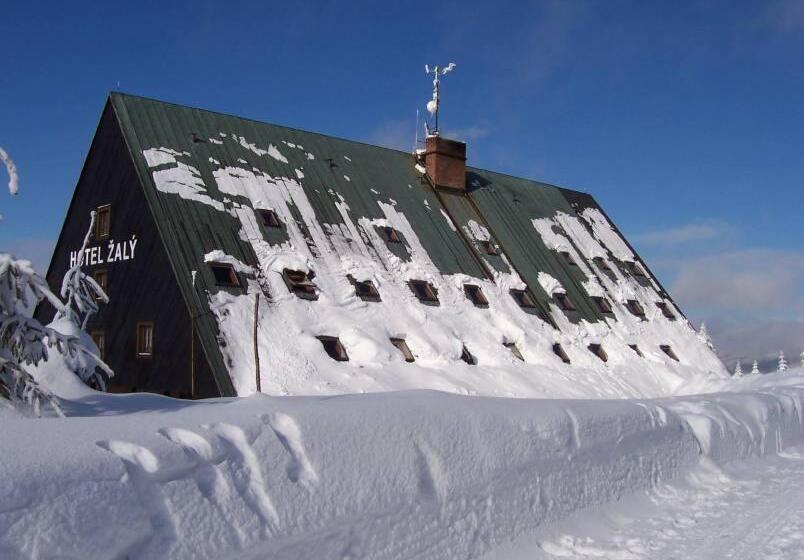 호텔 žalý Apartmány