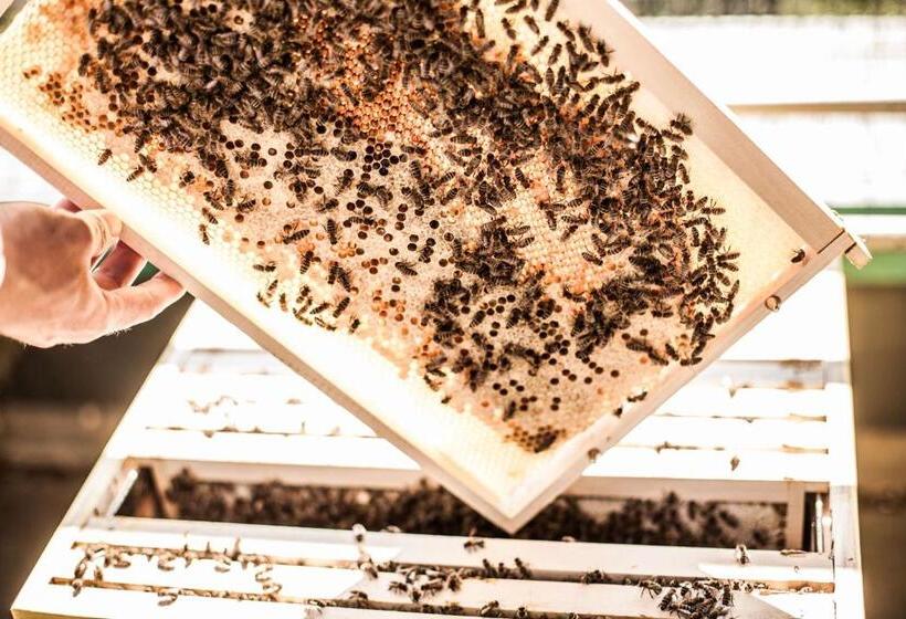 Atlantic Hotel Airport