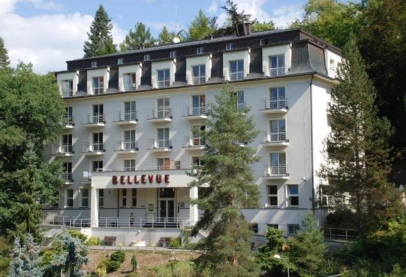 호텔 Bellevue