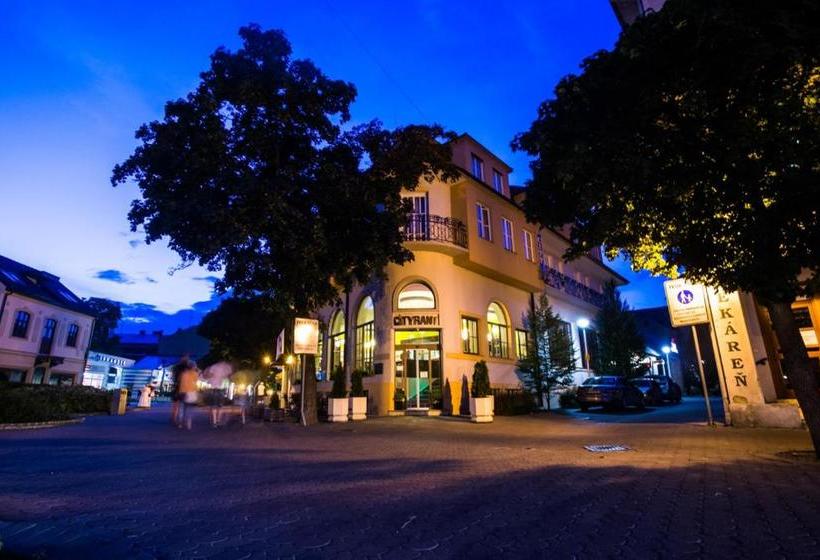 בית מלון כפרי City