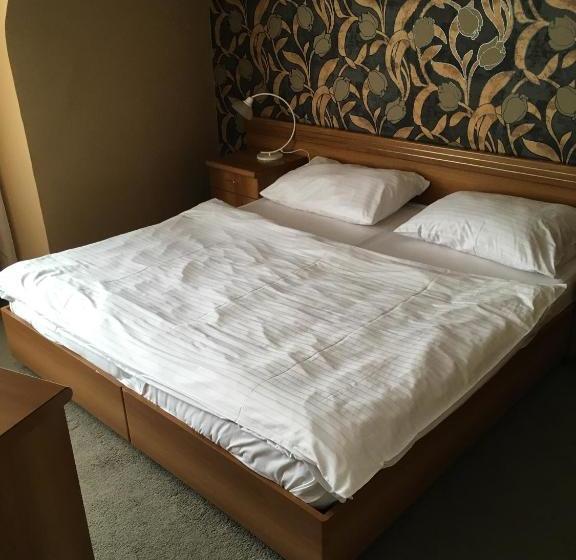 בית מלון כפרי City