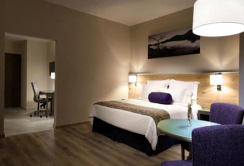 בית מלון כפרי Krystal Monterrey