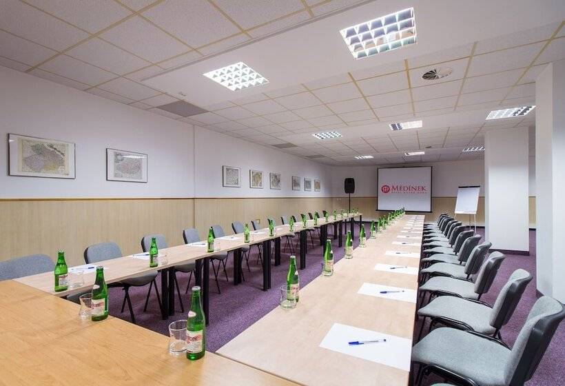 Lh Hotel Mědínek Old Town