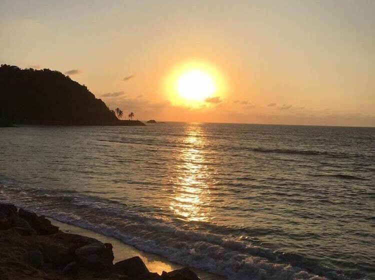 Отель Palma Real