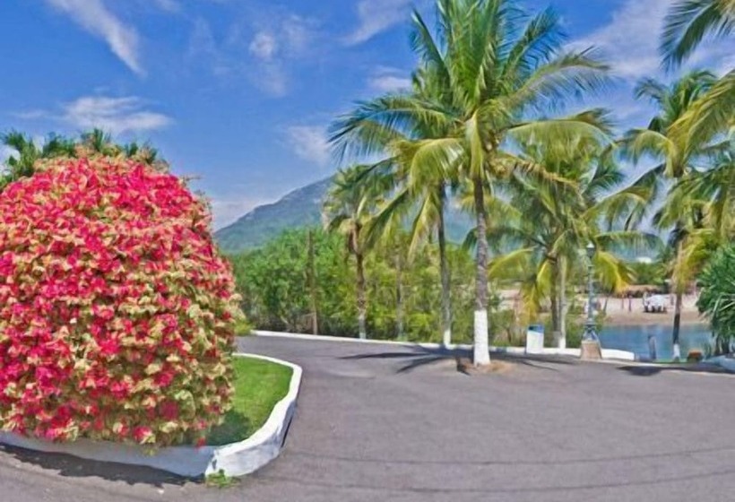 Отель Palma Real