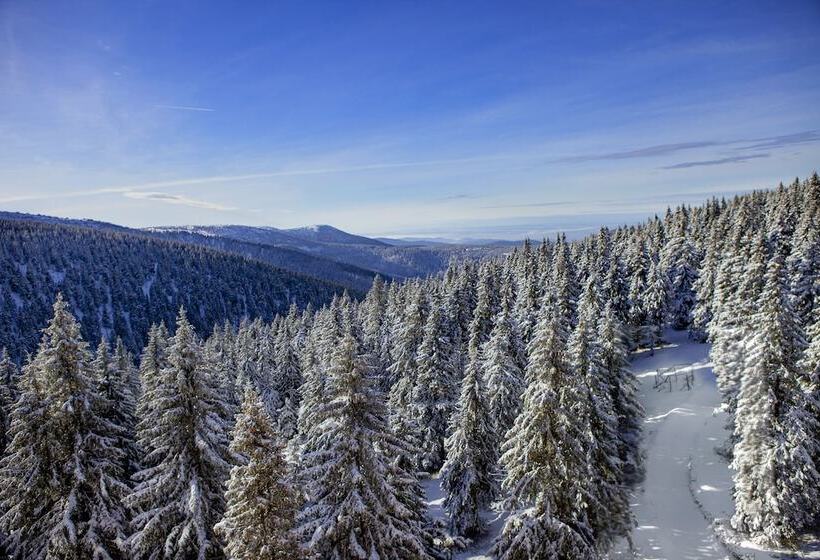 בית מלון כפרי Petrovy Kameny