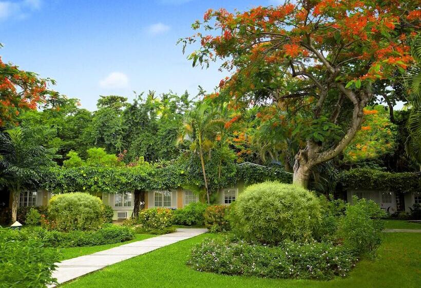 בית מלון כפרי Sandals Halcyon   All Inclusive Couples Only