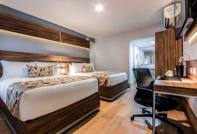 酒店 Sleep Inn Monterrey Norte