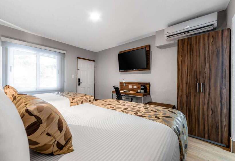 酒店 Sleep Inn Monterrey Norte