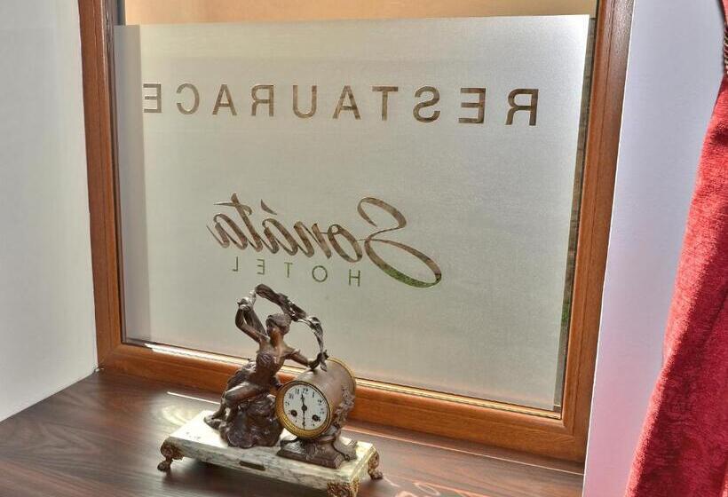 Отель Sonata