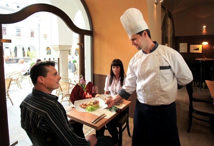 בית מלון כפרי Zlatá Hvězda