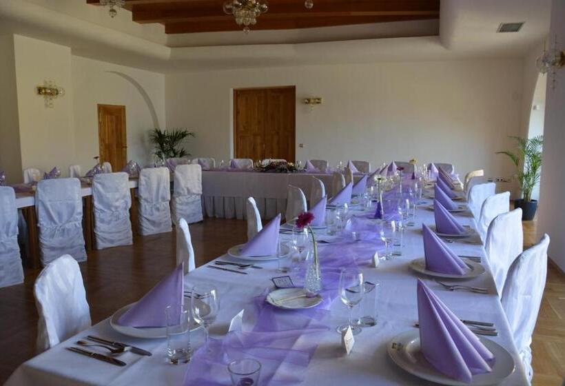 בית מלון כפרי Zámek Velká Bystřice