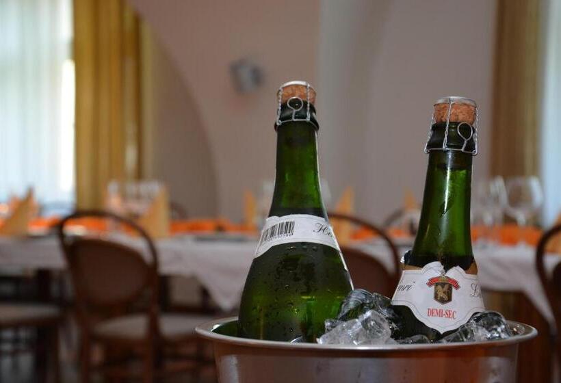 בית מלון כפרי Zámek Velká Bystřice