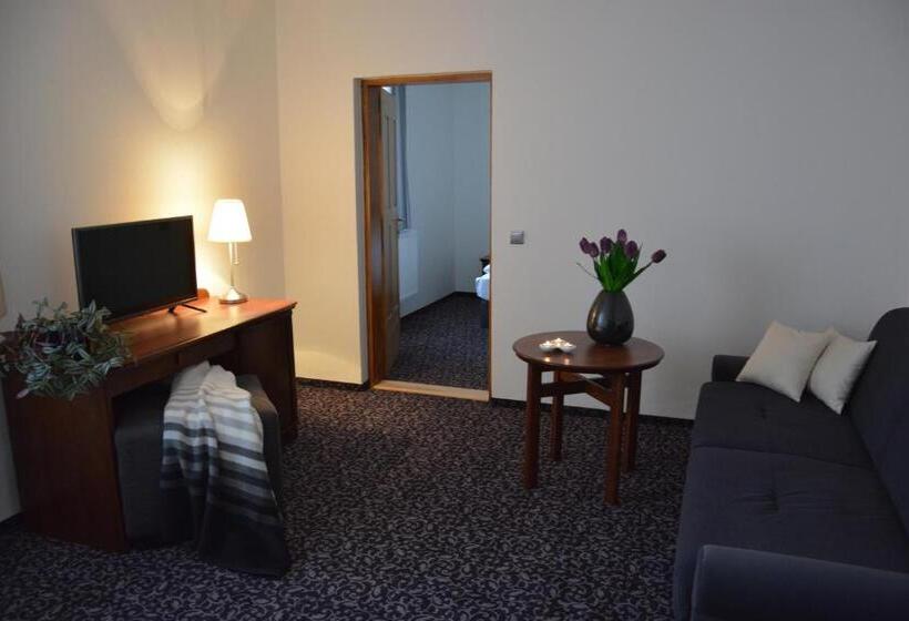 בית מלון כפרי Zámek Velká Bystřice