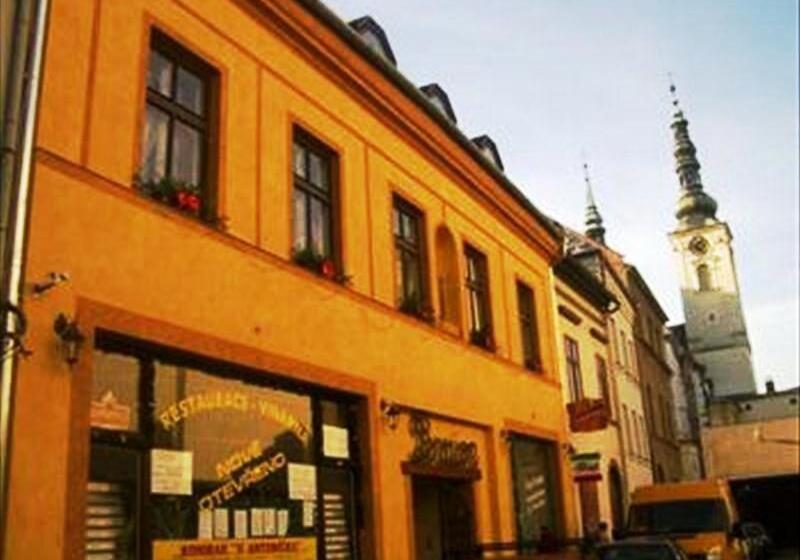 펜션 Penzion U Antonicka