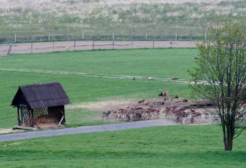 Wellness Hotel Diana