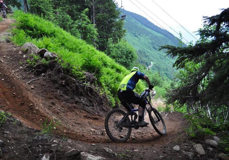 فندق Alyeska Resort