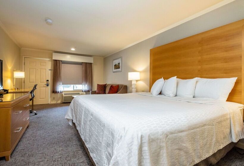 호텔 Best Western Plus Dixon Davis