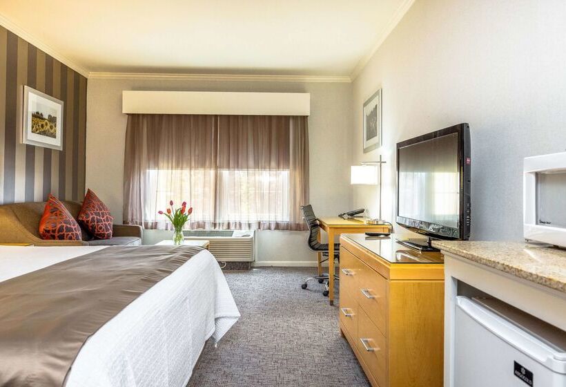 호텔 Best Western Plus Dixon Davis