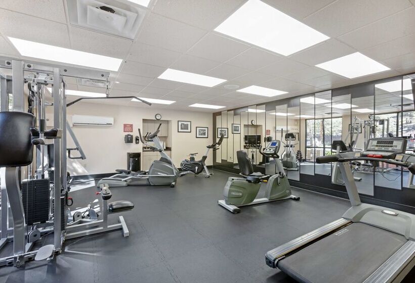 Отель Best Western Plus Inn Of Williams