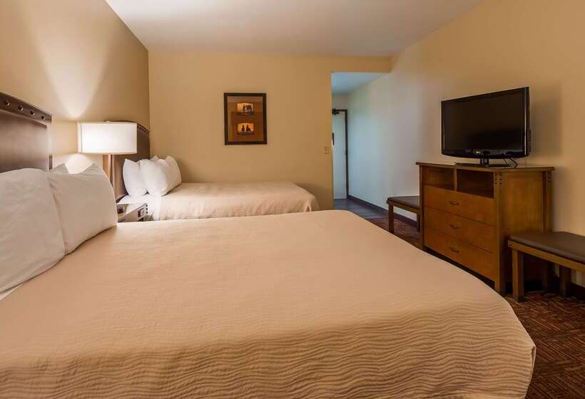 Отель Best Western Plus Inn Of Williams