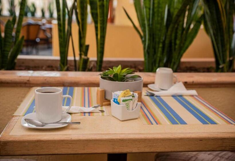 فندق Holiday Inn La Piedad, An Ihg