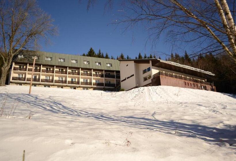 בית מלון כפרי Horni Pramen