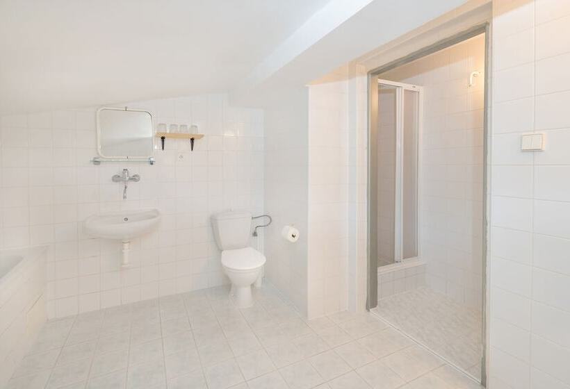 בית מלון כפרי Horni Pramen