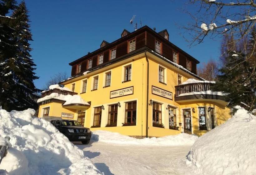 Отель Lucni Dum