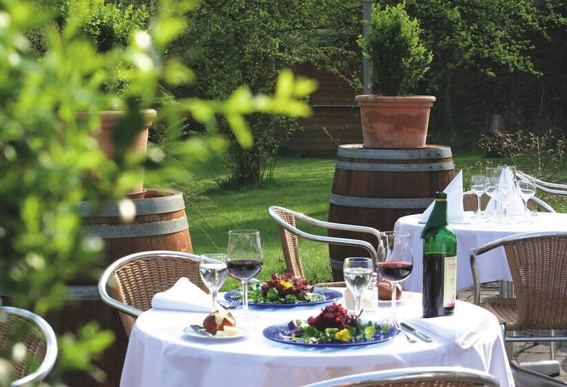 酒店 Maxx By Steigenberger Deidesheim