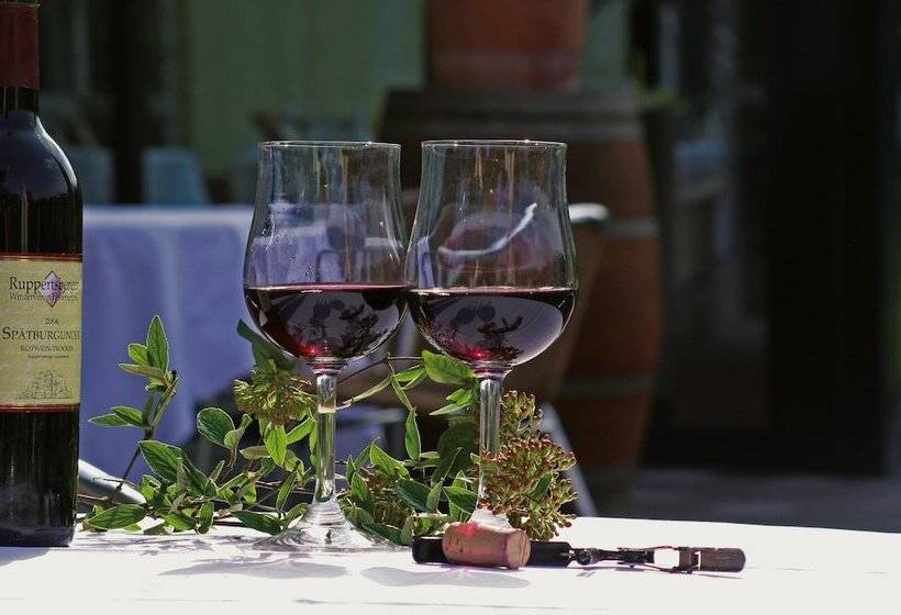 酒店 Maxx By Steigenberger Deidesheim