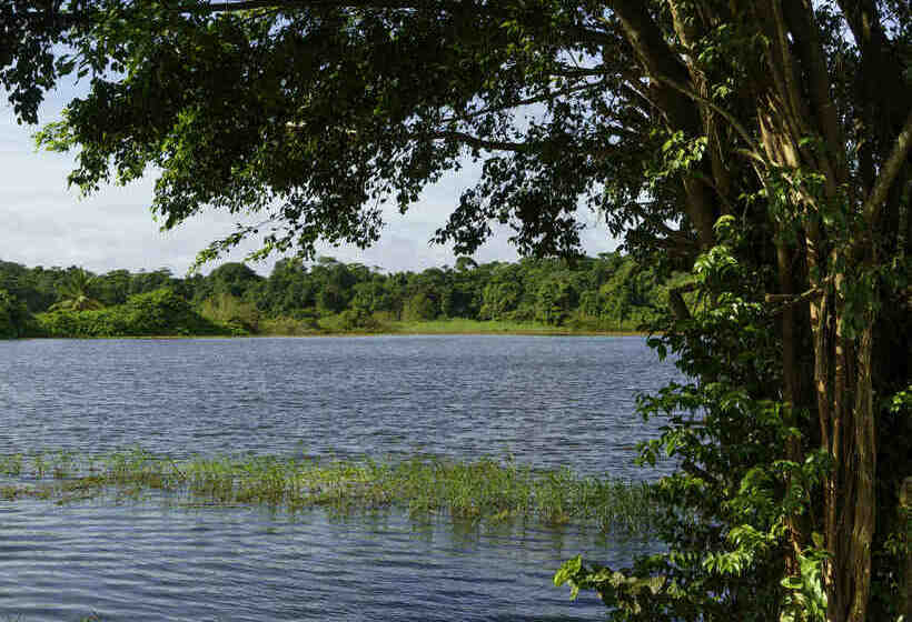 هتل Mercure Kourou Ariatel