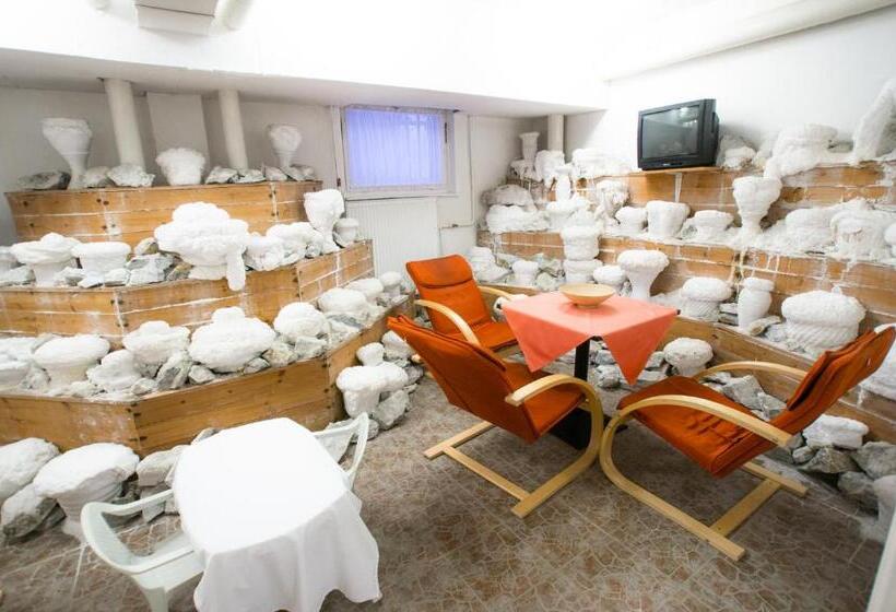 酒店 Mátyás Király Gyógy  és Wellness