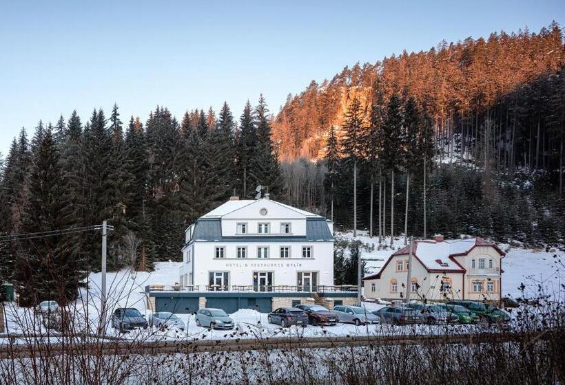 Отель Orlík