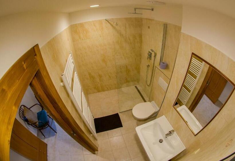 ホテル Panský Dům žamberk