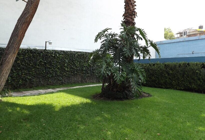 هتل Pedregal Palace