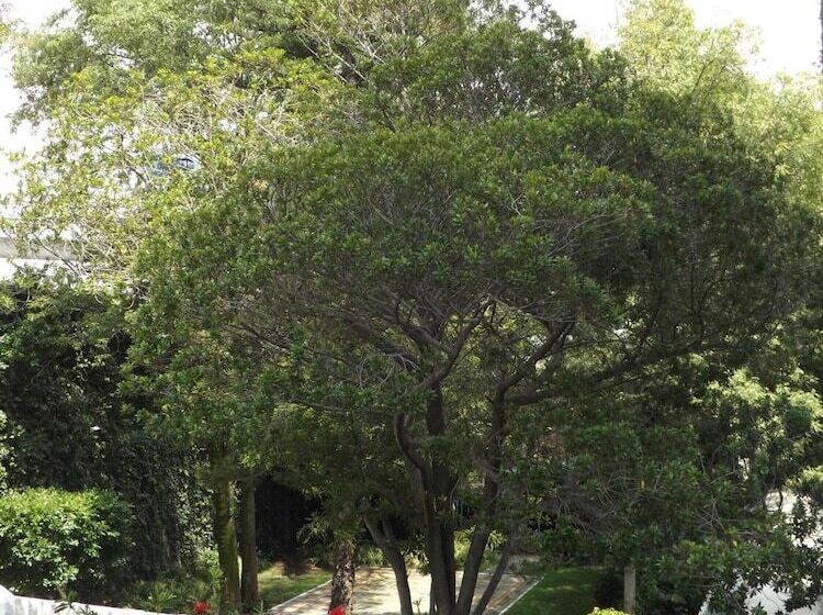 هتل Pedregal Palace