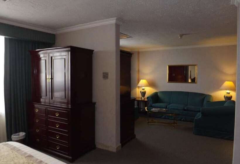 هتل Pedregal Palace