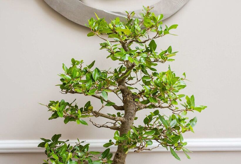 Premier Hotel Cape Town