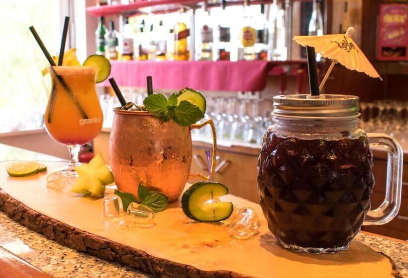 Quick Hotel Dresden West