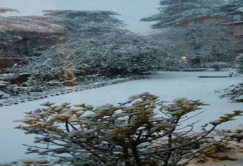 هتل Springfields   A Heritage Palace Since 1902