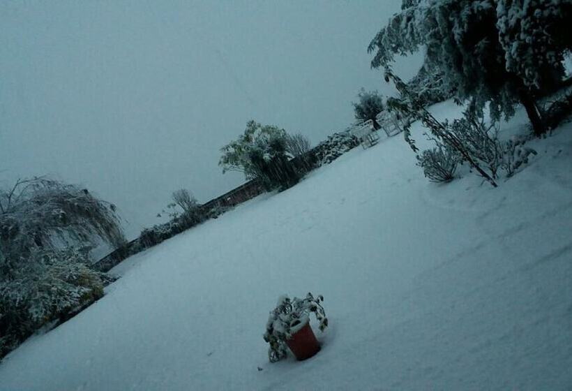 هتل Springfields   A Heritage Palace Since 1902