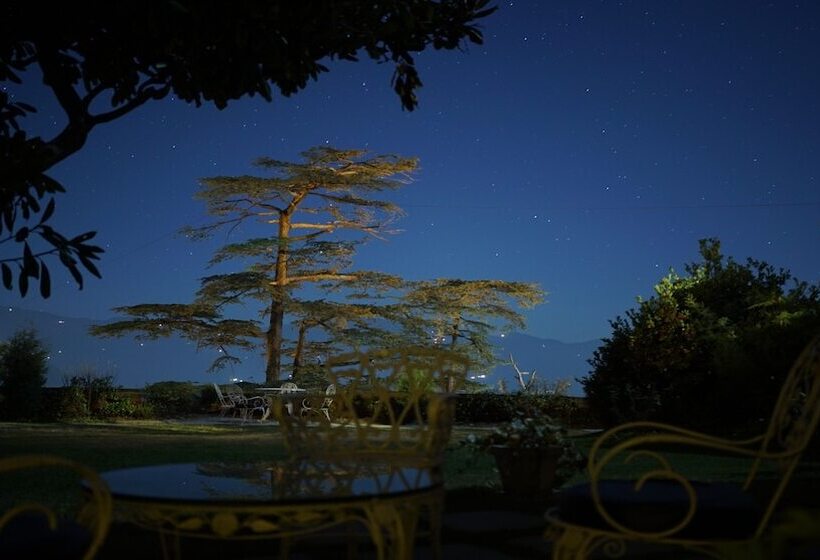 هتل Springfields   A Heritage Palace Since 1902