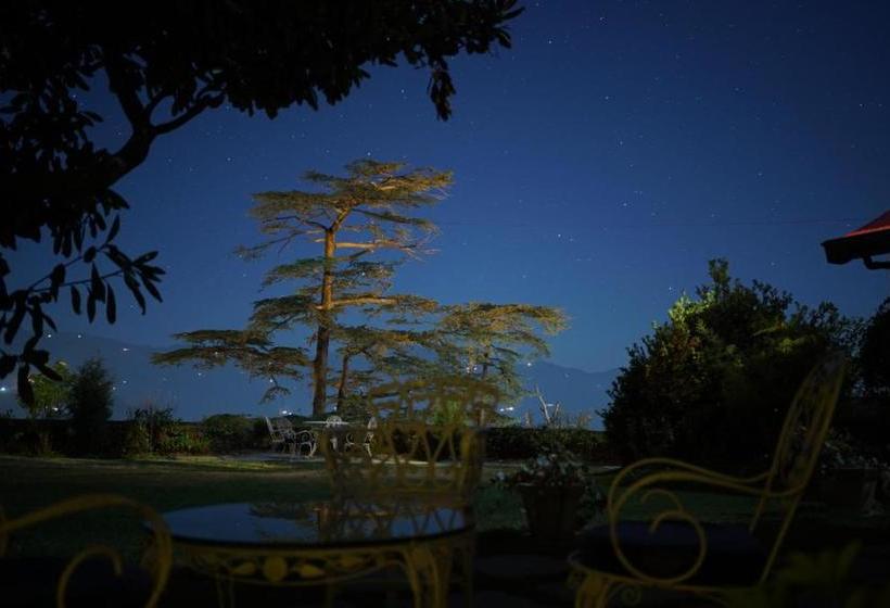 هتل Springfields   A Heritage Palace Since 1902