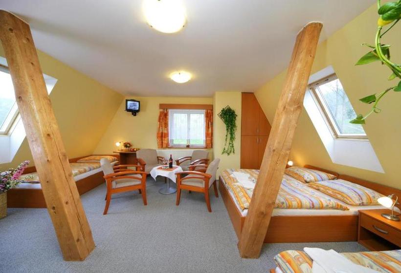 Отель Stary Mlyn